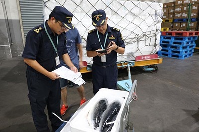 隨到隨報、隨到隨驗 杭州空港冰鮮水產(chǎn)進口持續(xù)增長的市場調(diào)查